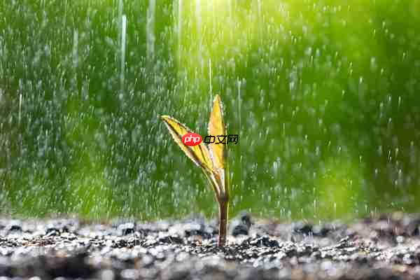 雷军雨天坚持健身房打卡:上热搜了