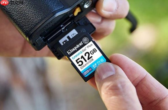 Vlog全能卡金士顿CanvasGo！Plus系列