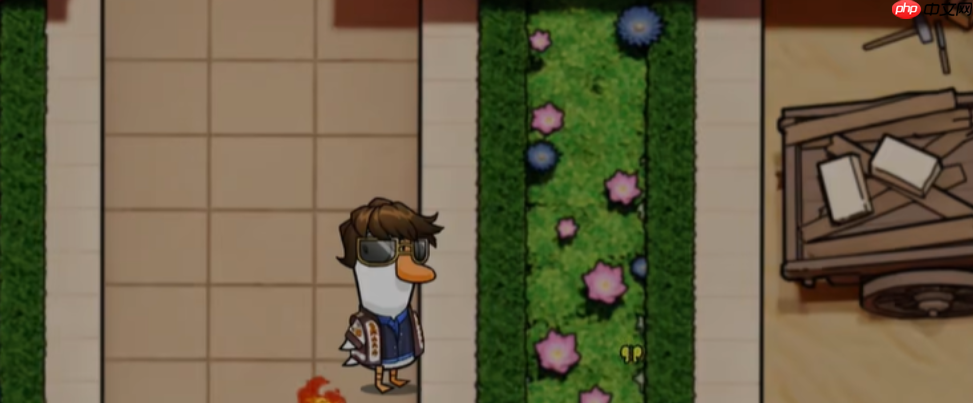 鹅鸭杀冒险家角色全解:地形杀免疫者的情报大师之路