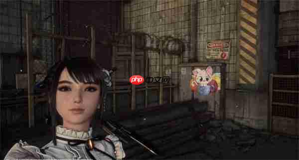 剑星猫咪摄影展全收集!10只隐藏猫咪位置大揭秘