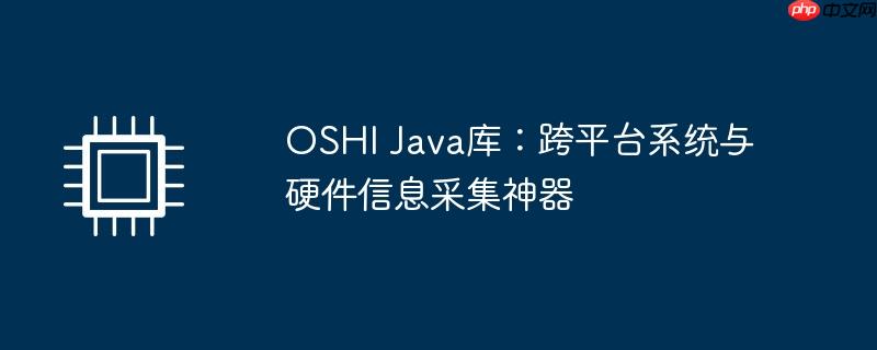 oshi java库:跨平台系统与硬件信息采集神器