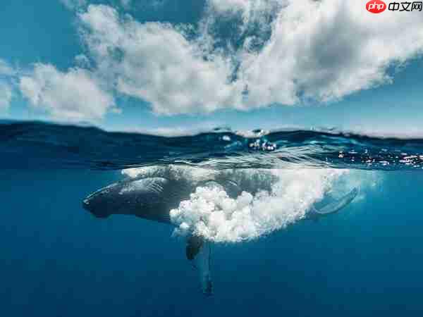 富士胶片X-SPACE上海三展齐聚 探秘山水奇景 捕捉生活的AB面