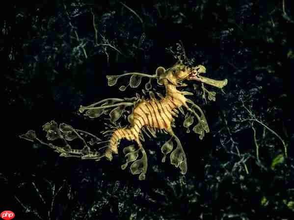 富士胶片X-SPACE上海三展齐聚 探秘山水奇景 捕捉生活的AB面