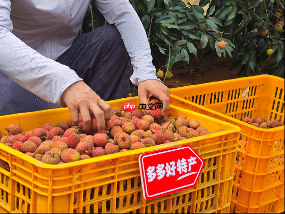 拼多多发布Q1财报，加速推进“千亿扶持”新战略，先商家后平台扶持产业生态