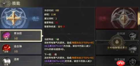 奇迹世界起源弓终极配装指南:装备技能全解析