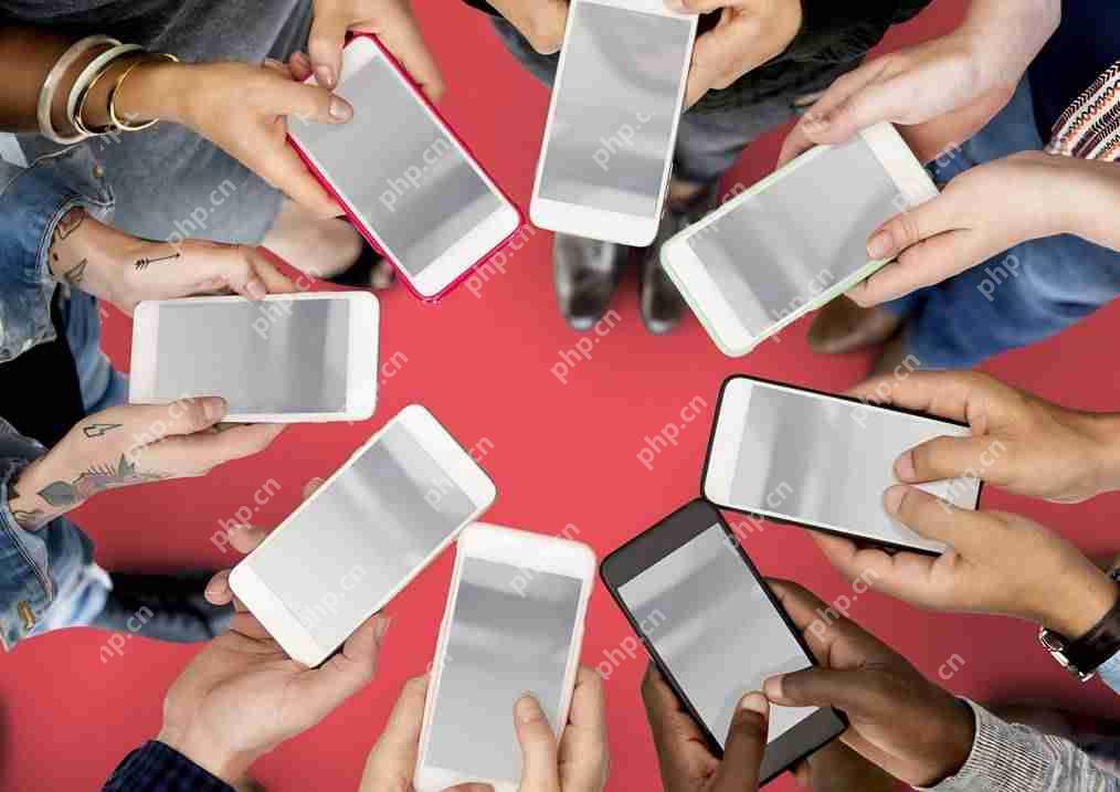 社交电商APP制作助你开启新商机