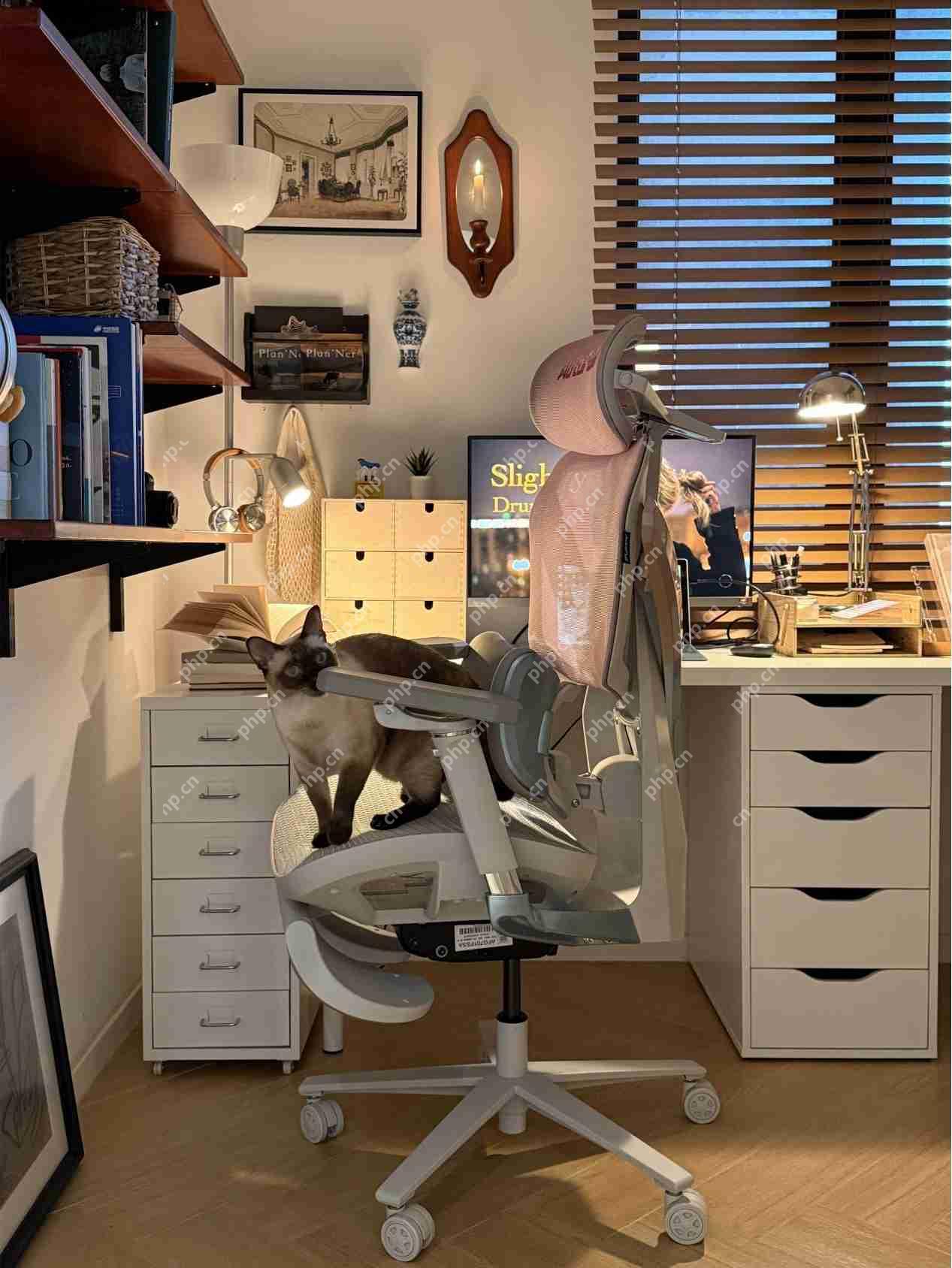 一把能打游戏、能上班，还能哄对象的傲风电竞椅有多香？