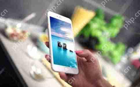 应用开发软件推荐：提高效率、降低成本的利器