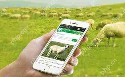 农场app开发都有哪些功能?怎么开发?