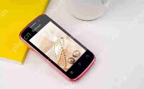 拍照识物APP开发轻松识别万物