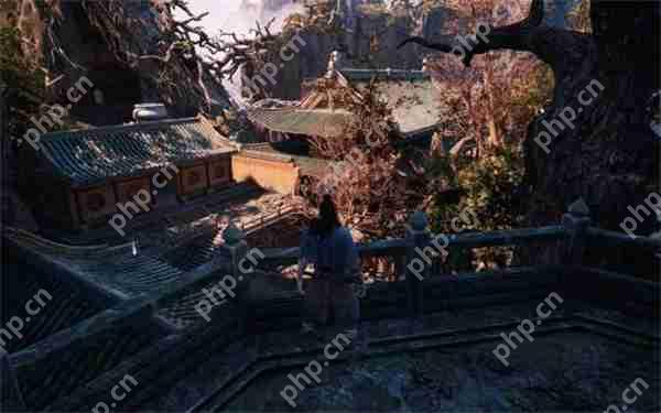 国产动作《义闻录轮回》Steam褒贬不一 好评率仅58%