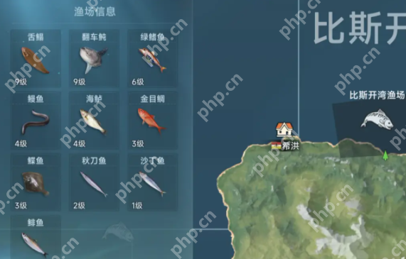 大航海时代传说全渔场鱼类图鉴：从菜鸟到捕鱼达人的终极指南