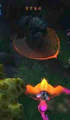 魔兽世界蜜背收割者坐骑全攻略:手把手教你驯服蜂群霸主