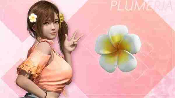 死或生维纳斯璀璨假期终极购买指南 甜蜜邂逅六位心动女神