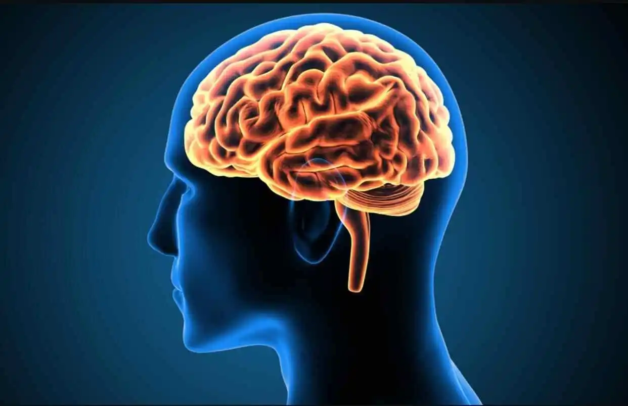 最新研究显示:人类的整体智力水平正在逐年下降!