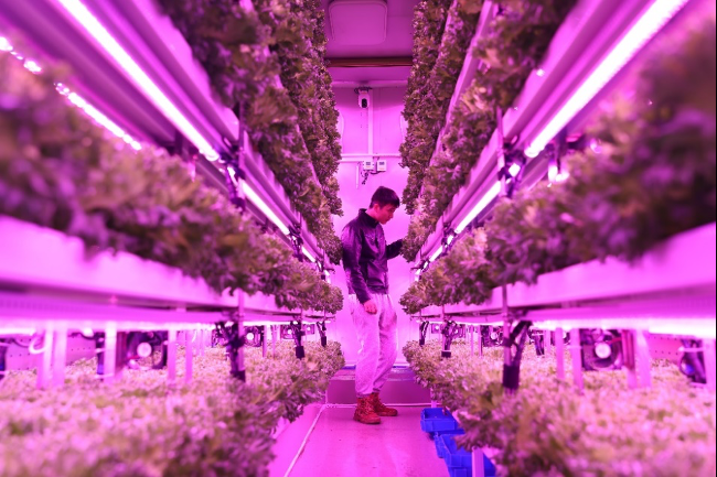 拼多多2024全年财报出炉,高质量发展效用加速释放,新质供给助推产业转型升级