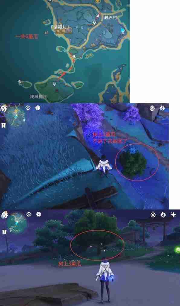 《原神》堇瓜点位分享-堇瓜采集线路推荐