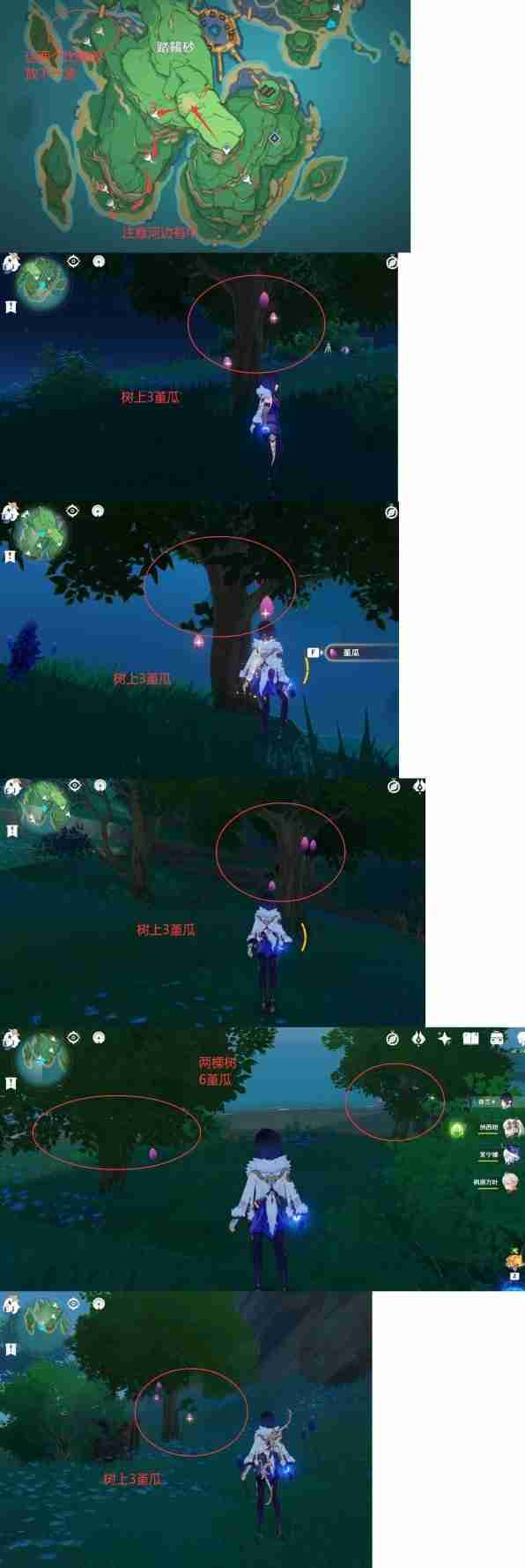 《原神》堇瓜点位分享-堇瓜采集线路推荐