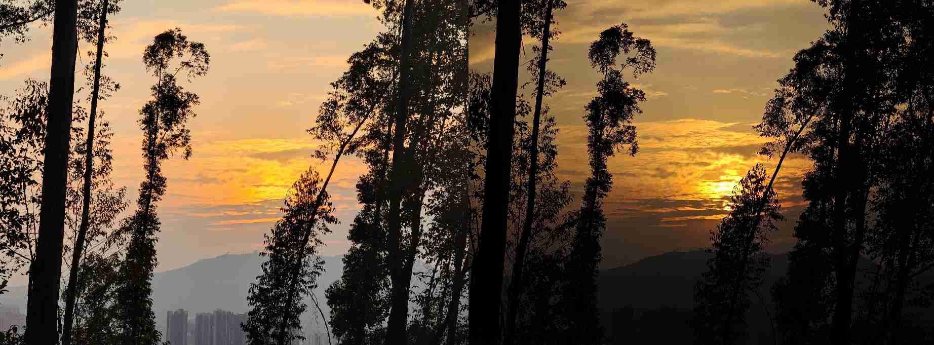 手机拍照专业模式大横评：米OV各具特色，AI重新定义专业？