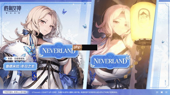 《胜利女神:新的希望》鲁德米拉“冬日之主”战斗演示