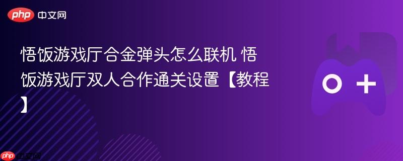 悟饭游戏厅合金弹头怎么联机 悟饭游戏厅双人合作通关设置【教程】