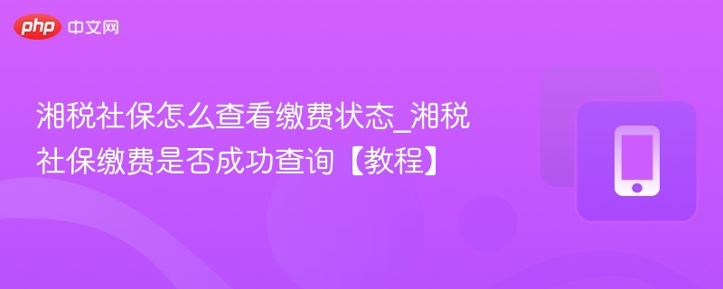 湘税社保怎么查看缴费状态_湘税社保缴费是否成功查询【教程】