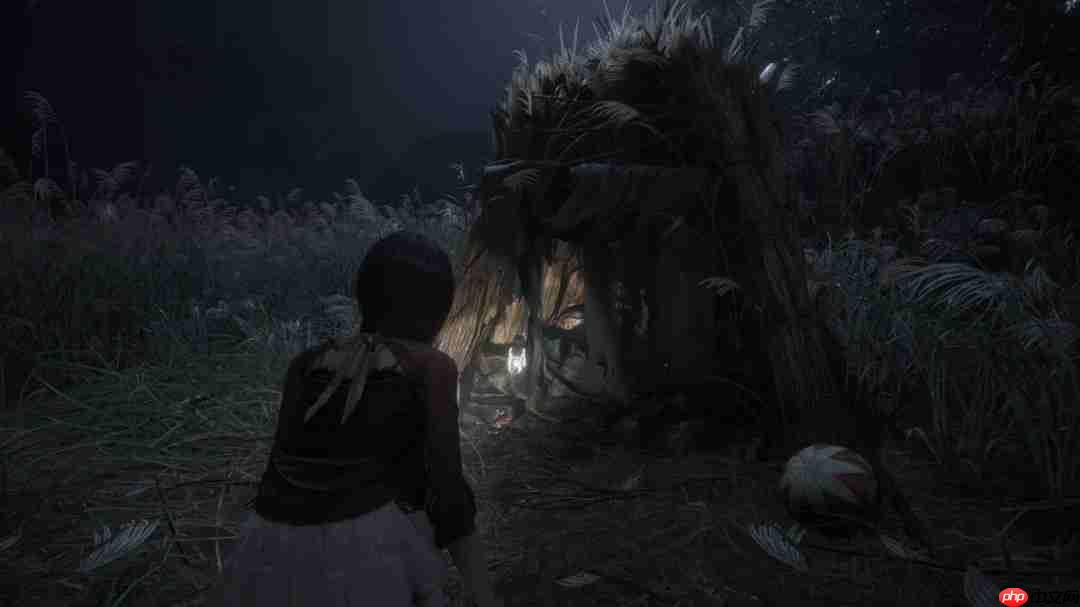 《零红蝶：重制版》官方放出新截图 更多详细设定公布