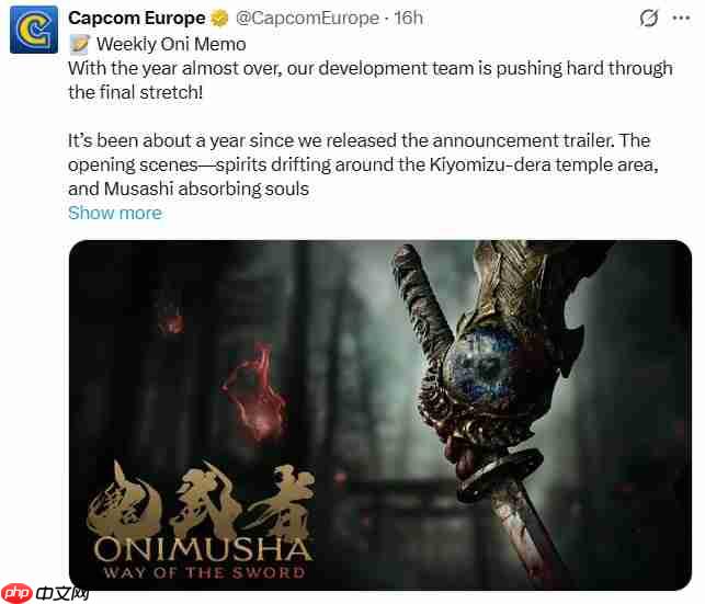 《鬼武者:剑之道》开发进入最后阶段 多个预告筹备中