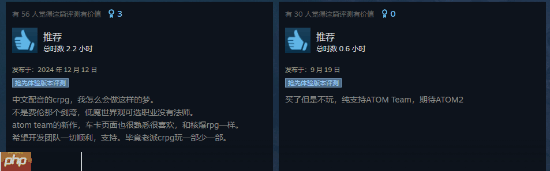 《核爆RPG》开发商新作《剑湾奇旅》结束EA正式发售:国区首发82元 获特别好评