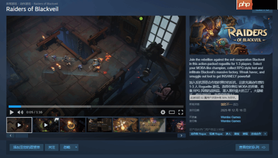 《Raiders of Blackveil》Steam首发褒贬不一 玩家:土豆服务器还敢强制联网?