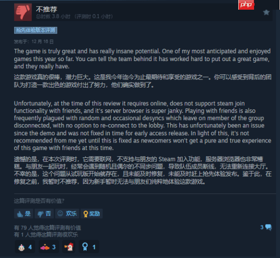 《Raiders of Blackveil》Steam首发褒贬不一 玩家:土豆服务器还敢强制联网?