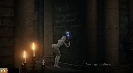 《艾尔登法环:黑夜君临》修女全皮肤舔墙合集:你最喜欢哪套衣服?