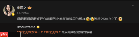 本人超好看!影之刃零女脸模回应:看到游戏形象很开心