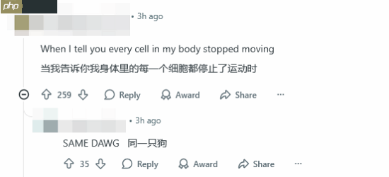 《上古卷轴6》粉丝怒斥TGA吊胃口!背景这么像不是故意的?