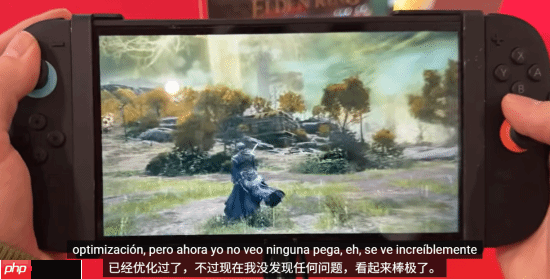 NS2《艾尔登法环》优化可喜！可算能正常玩了