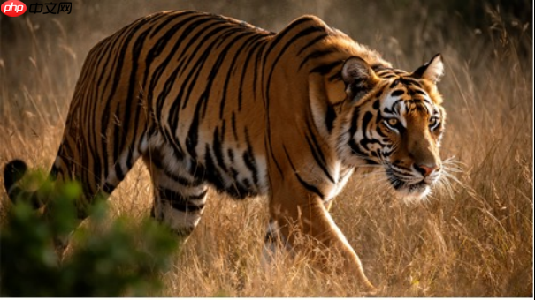 FLUX.2 图像生成模型发布,针对 NVIDIA RTX GPU 优化