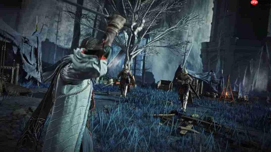 《艾尔登法环:黑夜君临》DLC新职业“学者”预告