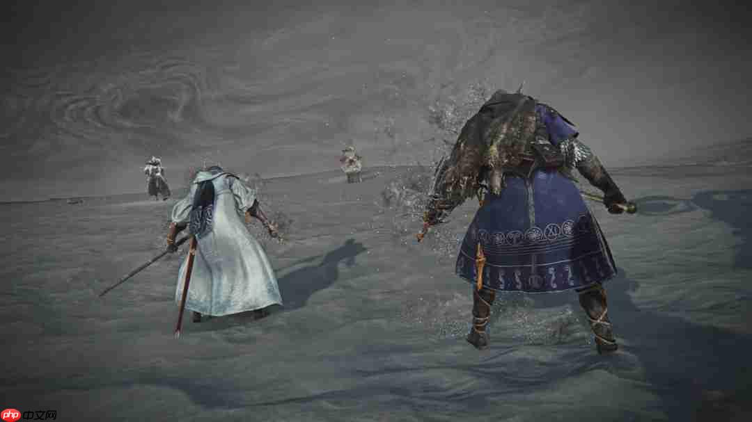 《艾尔登法环:黑夜君临》DLC新职业“学者”预告