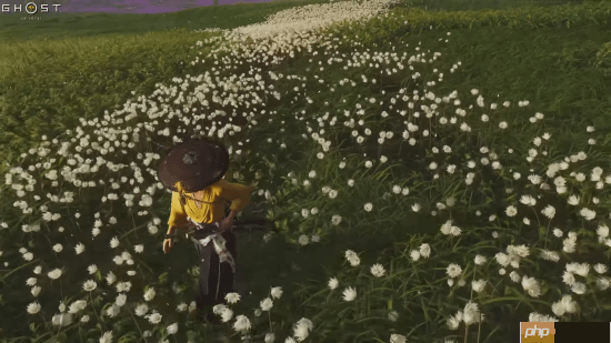 《燕云十六声》对比《羊蹄山之魂》《刺客信条影》:把外国玩家香晕了