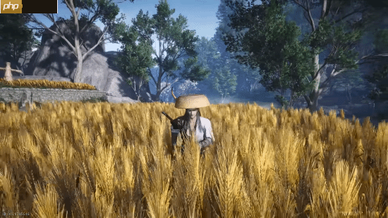 《燕云十六声》对比《羊蹄山之魂》《刺客信条影》:把外国玩家香晕了