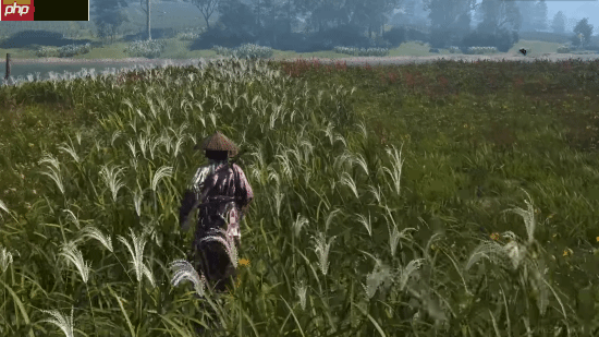 《燕云十六声》对比《羊蹄山之魂》《刺客信条影》:把外国玩家香晕了