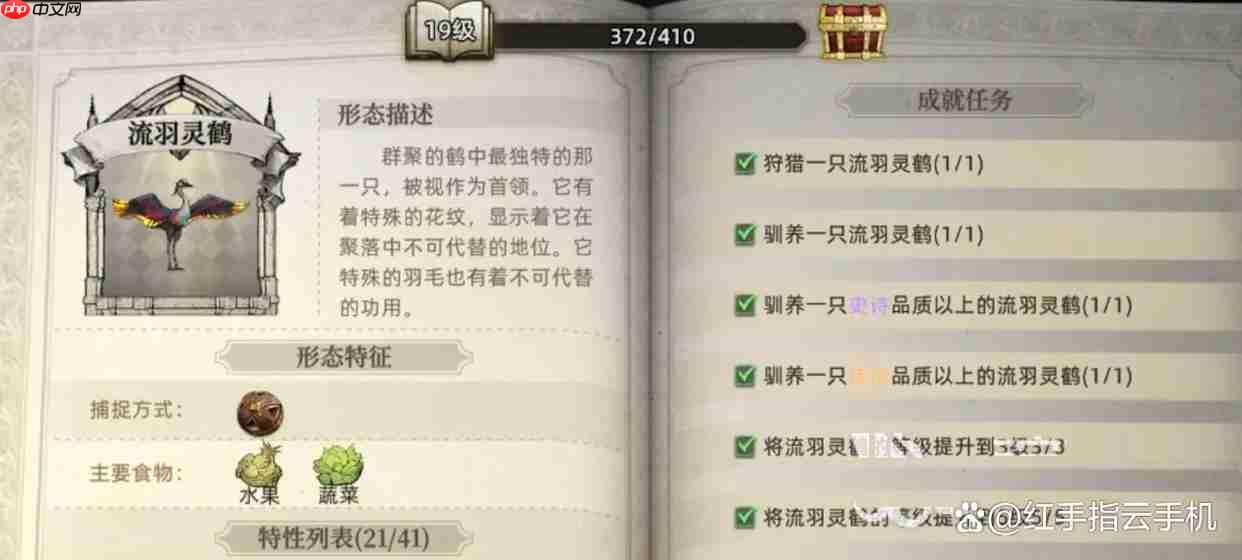 荒原曙光五大实用宠物推荐