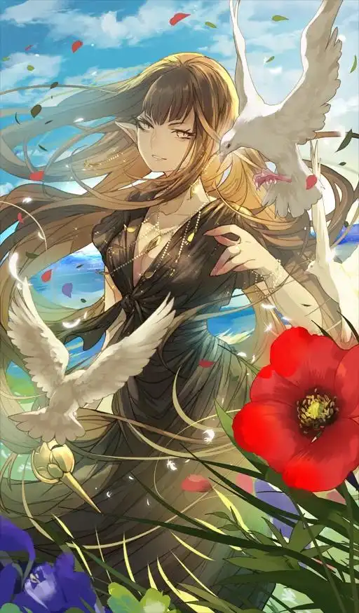 FGO日服泳装10期礼装一览-FGO日服泳装10期礼装有哪些